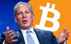 Peter Schiff：比特币每涨到10000美元以上，就会出现